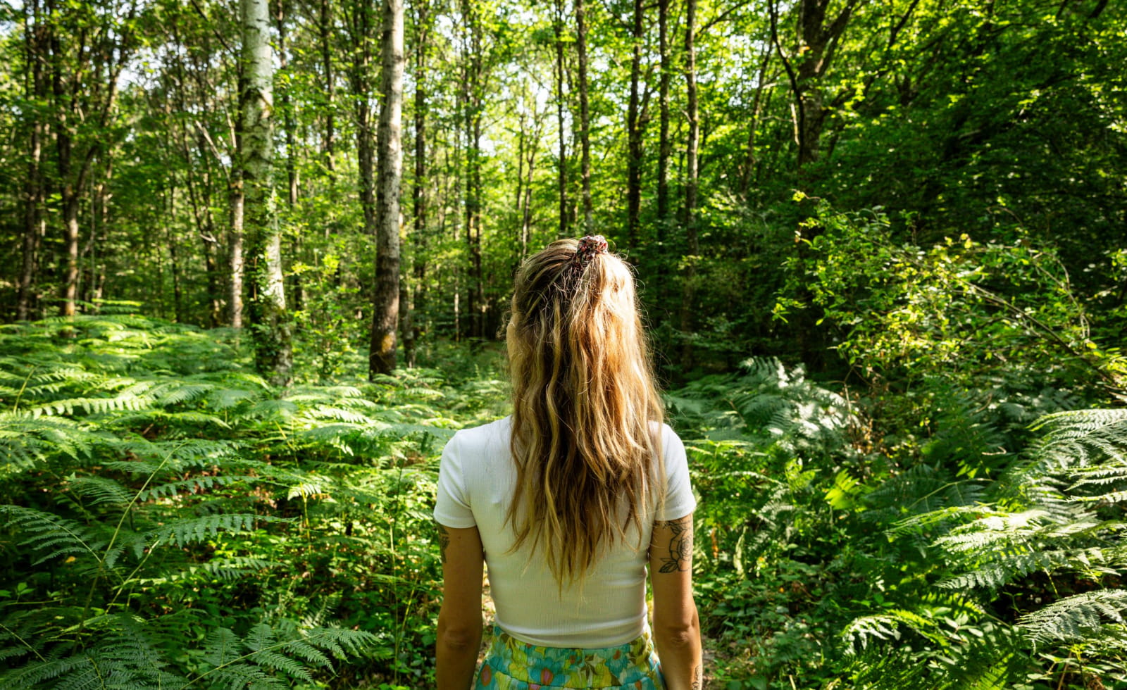 Promenade en forêt en Eure-et-Loir